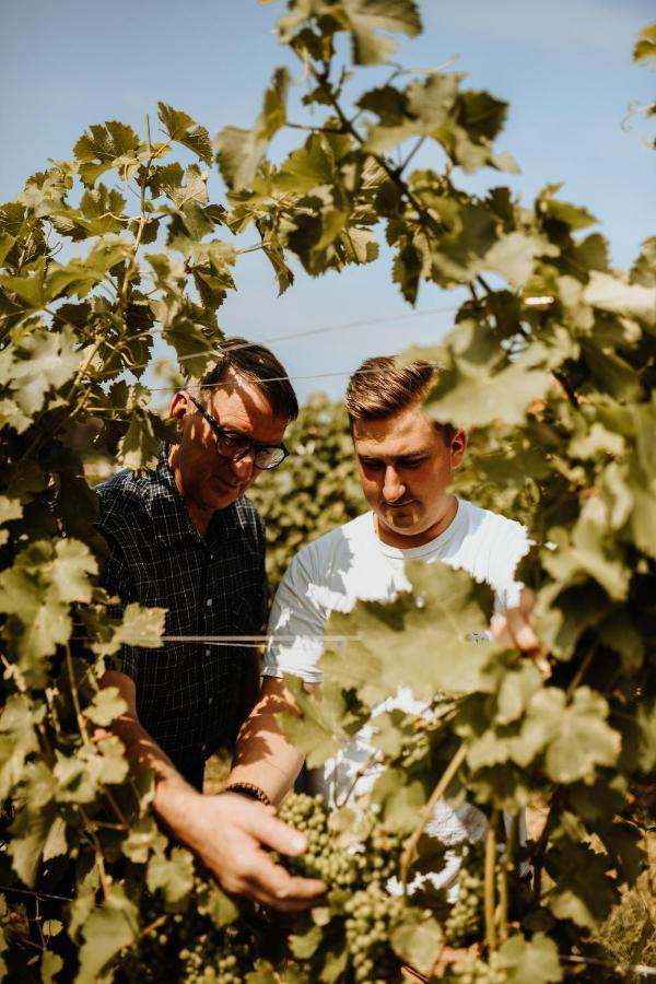 Kultur Weingut Kaestenburg Ratsch an der Weinstraße Exterior foto